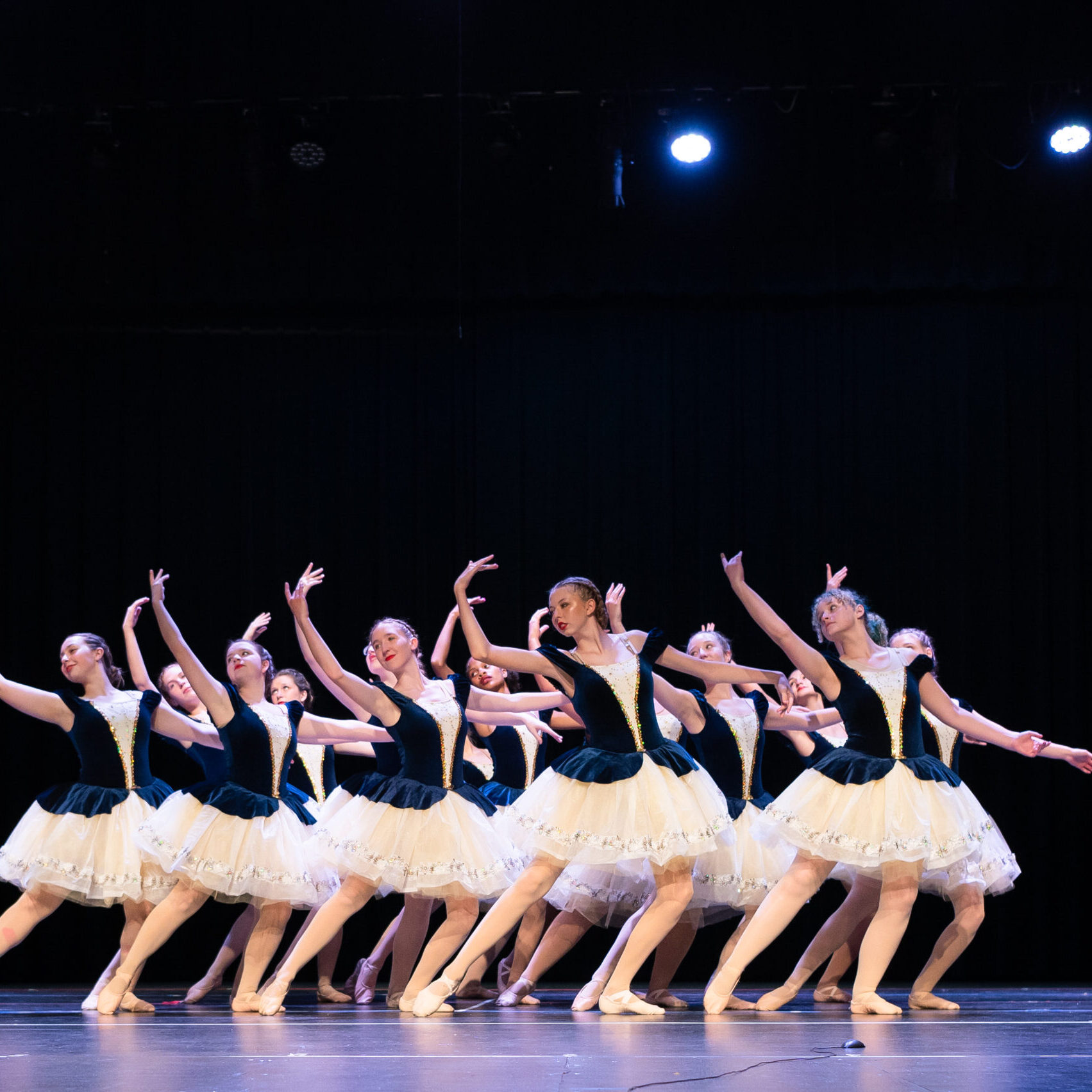 DSD {2025} 206 of 578 DSD {2025} 206 of 578